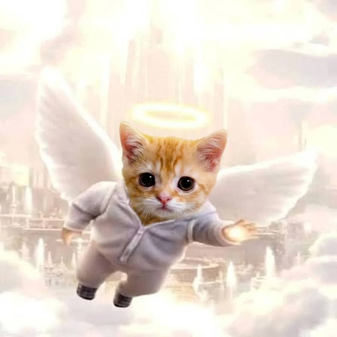 El Gato sticker
